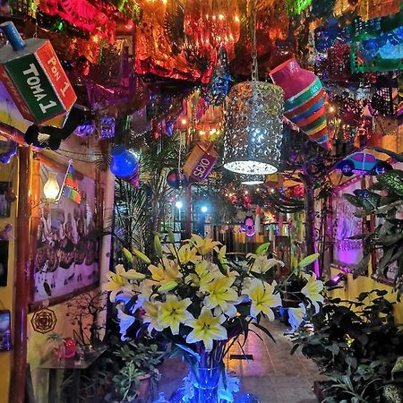 Hostal Oaxaca Magic Exterior foto
